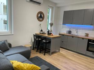 Kuchyň nebo kuchyňský kout v ubytování Apartment in city center 2