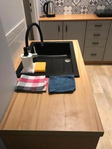 Kuchyňa alebo kuchynka v ubytovaní Zaciszny Apartament w Zdroju