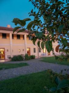 Zahrada ubytování Il Paradello Albergo