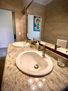 a bathroom counter with a sink and a mirror at Inn The Coffeepot - Boutique Hotel in Boquete