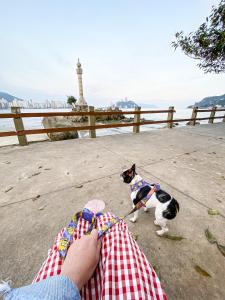 een persoon met een hond aan de lijn bij Estúdio/Apartamento praia de São Vicente in São Vicente