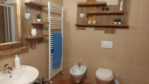 ein Bad mit einem WC und einem Waschbecken in der Unterkunft Baita de Eliseo B&B in Valdisotto