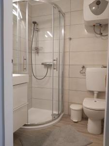 a bathroom with a shower and a toilet at Apartments No 55 in Baška +47 photos
