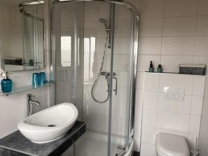 a bathroom with a glass shower with a sink and a toilet at Divi Divi Zandvoort in Zandvoort