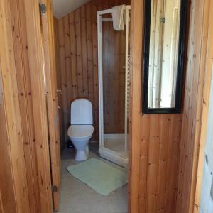 a bathroom with a toilet and a walk in shower at Hagi 1 Guesthouse in Aðaldalur
