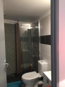 La salle de bains est pourvue d'une douche et de toilettes blanches. dans l'établissement Le "Duo Sètois", à Sète