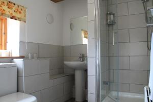 een badkamer met een wastafel, een toilet en een douche bij The Granary at Fawsley in Daventry