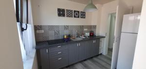 a kitchen with a counter with a sink and a refrigerator at VILA BUNICUTA in Eforie Sud