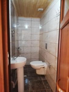 Baño pequeño con aseo y lavamanos en Viceminiotel, en Rize