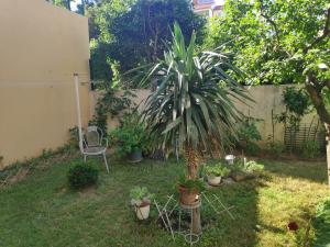 Fotografia z galérie ubytovania Spacious apartment with big garden near beach v Splite