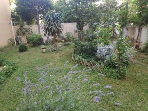 Fotografia z galérie ubytovania Spacious apartment with big garden near beach v Splite