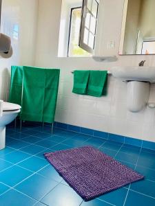 a blue and white bathroom with a sink and a toilet at Quinta Perpetua, Casa Flores in Santa Cruz da Graciosa