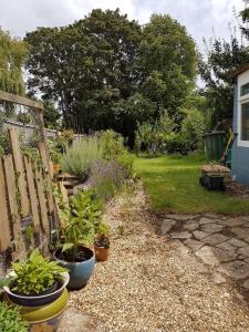 a garden with potted plants and a fence at Crofton House Garden Apartment in Ryde