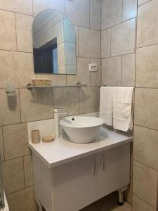 a bathroom with a white sink and a mirror at Pensiunea Mugur De Fluier in Vama