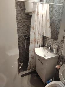 Un baño con lavabo y cortina de ducha. en Sasa's Apart, en Vračar (historical) 30 fotos más