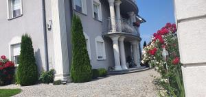 Zahrada ubytování Villa TAAN Royal