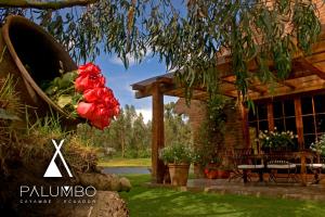 Palumbo Glamping & Villas في كايامبيه: منزل مع حديقة مع الزهور الحمراء في الفناء