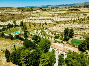 an aerial view of a vineyard with a house and trees at El Molino de Batán in Galera