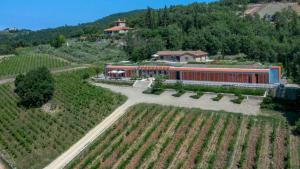 Billede fra billedgalleriet på Villa Riecine i Gaiole in Chianti