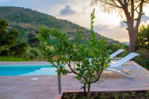 een stoel en een boom naast een zwembad bij La Villetta di Cefalù in Cefalù