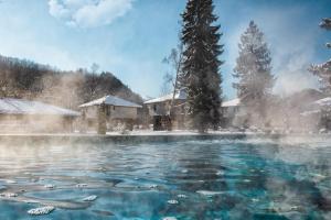 una piscina d'acqua con alberi nella neve di Ostrova Holiday Village a Beli Osam