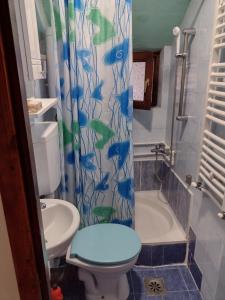 een badkamer met een toilet en een douchegordijn met vis erop bij Apartman DM in Valjevo