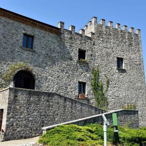 un gran edificio de piedra con ventanas y hiedra. en Il Castello dei Principi Sanseverino en Viggianello