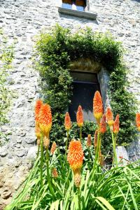 A garden outside Il Castello dei Principi Sanseverino