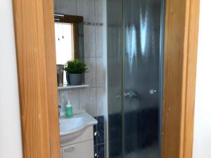 a bathroom with a shower and a sink at Apartments Delfini in Sveti Filip i Jakov +51 photos