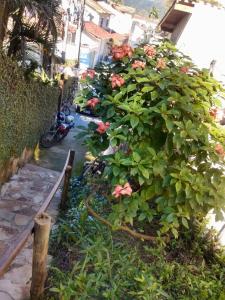 a large bush with pink flowers and a bench at SunriseBelaVista Pousada e Flats in Paraty