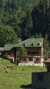 a house with a green roof on top of a field at Guesthouse Dolunay in Ayder Yaylasi