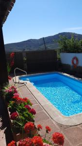 - une piscine fleurie dans une cour dans l'établissement Casa Rural Leonor con piscina privada, à Casar de Palomero