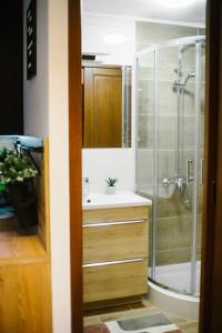 Vonios kambarys apgyvendinimo įstaigoje Komfortowy apartament z bezpośrednim wyjściem na ogród