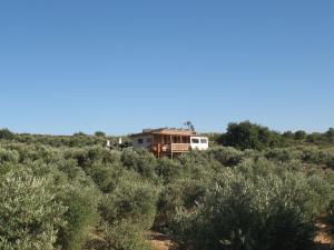 Foto dalla galleria di Clil Guest House a Clil