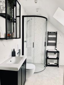 a bathroom with a shower and a toilet and a sink at Apartamenty KAHOY balia pomost Kozin in Kozin