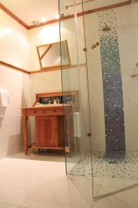 a bathroom with a shower with a glass door at Evergreen Lodge in Stellenbosch