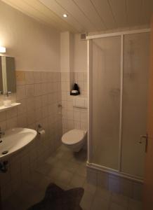 a bathroom with a shower and a toilet and a sink at Hotel-Pension- Vesperstube Waldblick in Mainhardt