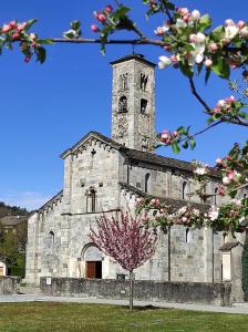 Fotografia z galérie ubytovania Le Farfalle di Armeno v destinácii Armeno + 36 fotografií
