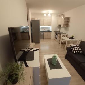 ein kleines Wohnzimmer mit einem Sofa und einer Küche in der Unterkunft Apartament Ruczaj 2 in Lublin