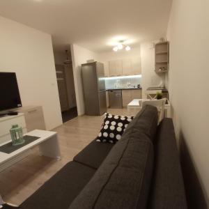 ein Wohnzimmer mit einem Sofa und einer Küche in der Unterkunft Apartament Ruczaj 2 in Lublin