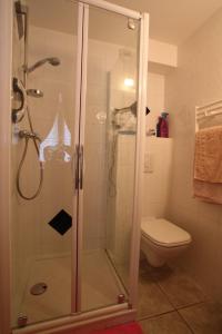 a bathroom with a shower and a toilet at Résidence Chardon Bleu in Landry