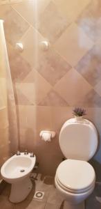 uma casa de banho com um WC branco e um lavatório. em Canelo departamento em Ushuaia