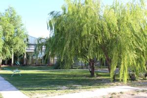 a park with a bench and a weeping willow tree at Quelimbay in Puerto Madryn