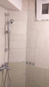 a shower in a bathroom with a shower head at Sweet home with a jard Slavica in Šušanj +15 photos
