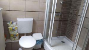 Un pequeño baño con inodoro y ducha. en Apartment in Balatonmariafürdo 19297, en Balatonmáriafürdő 5 fotos más