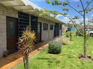 a house with a yard with grass and plants at CÁLIDO COSMOS HOTEL in Cholula