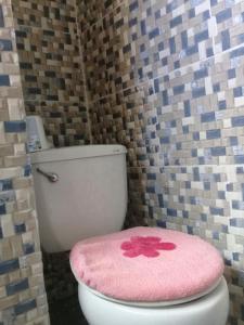 a pink toilet seat with a pink flower on it at Villa Julirous Rd 2 bedrooms apartment in Boca Chica +3 photos