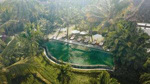 an overhead view of a swimming pool in a resort at Alaya Resort Ubud in Ubud