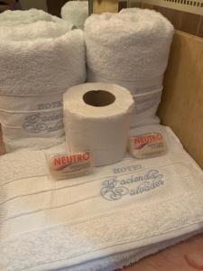 Gallery image of Hotel Hacienda Salvador in San Juan de los Lagos