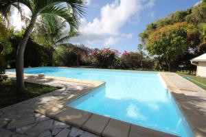 - une piscine dans une cour avec un palmier dans l'établissement Villas Karukera - Hamak Coco Caraibes, à Kahouanne